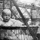 Illustration for article titled Putting Your Baby in a Cage Used to Be Perfectly Acceptable
